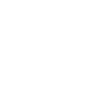 Dark Studio Logo